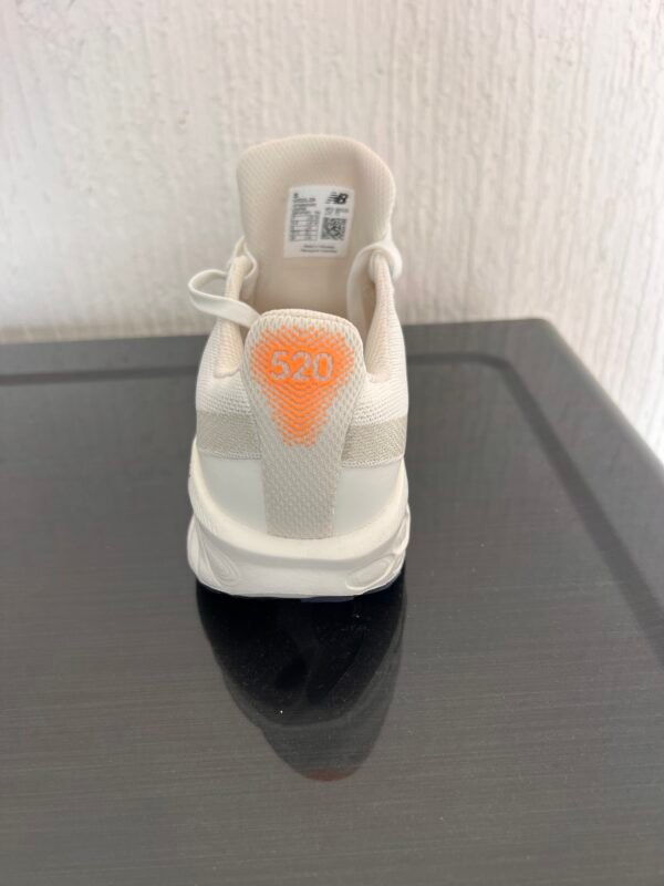 Zapatillas Running Fresh Foam 520 V9